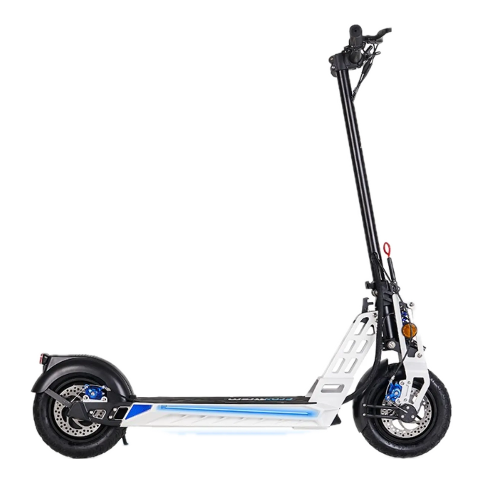 Ecoxtrem Bison 800W (2021)